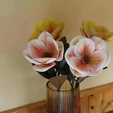 Apartmán La Huertarrona