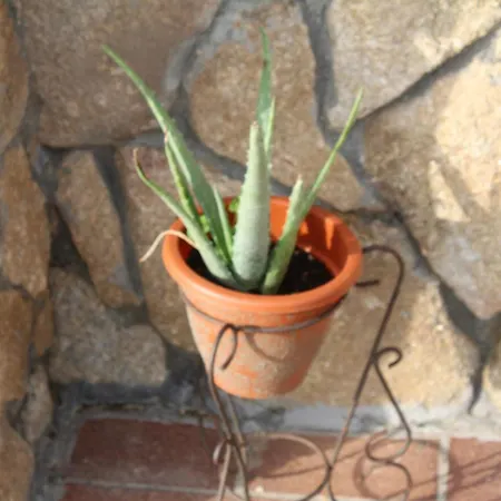 La Huertarrona Apartmán Candeleda