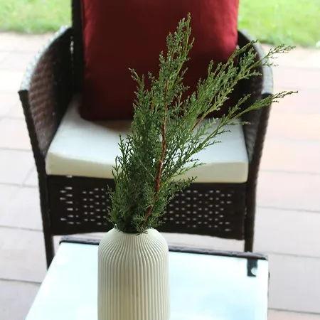 La Huertarrona Apartment