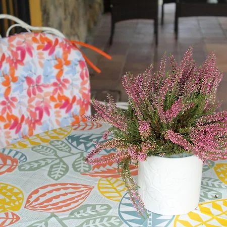 La Huertarrona * Candeleda