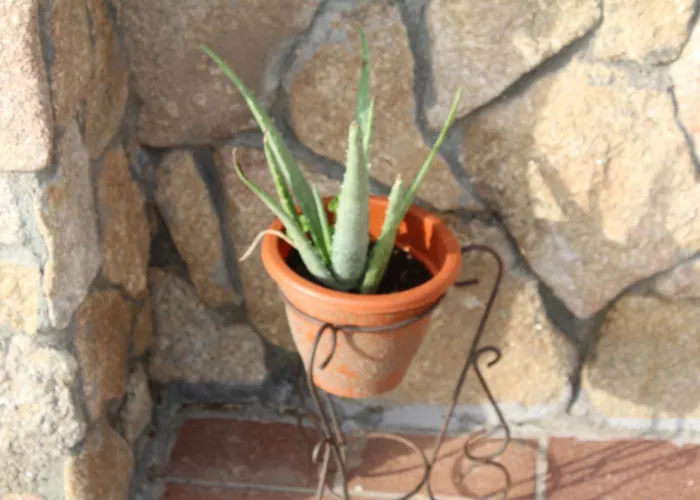 La Huertarrona Lejlighed Candeleda